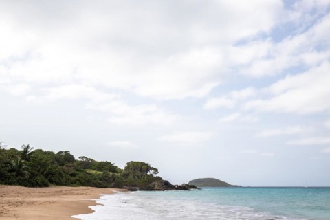 Lonely, wide sandy beach with turquoise-coloured sea. Tropical plants in a bay in the Caribbean