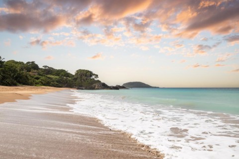 Lonely, wide sandy beach with turquoise-coloured sea. Tropical plants in a bay at sunset in the