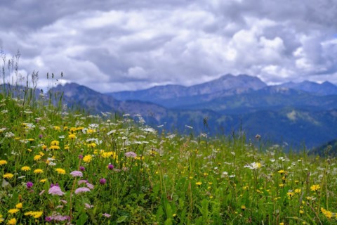 Stuempflingalmen on the way to Rosskopf, Rosskopf, Spitzingsee area, Bavarian local mountains,
