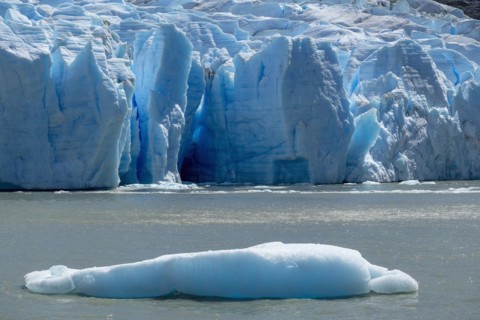Glacier, floating ice, Lago Grey, Torres del Paine National Park, Parque Nacional Torres del Paine,