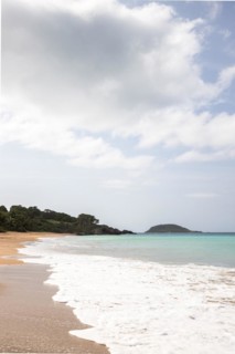 Lonely, wide sandy beach with turquoise-coloured sea. Tropical plants in a bay in the Caribbean