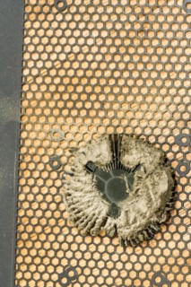 Weathered thermal paste on a CPU, with a golden circuit board background, in South Korea