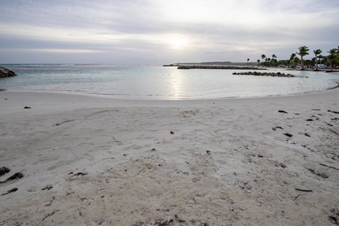 Caribbean dream beach with palm trees, white sandy beach and turquoise-coloured, crystal-clear