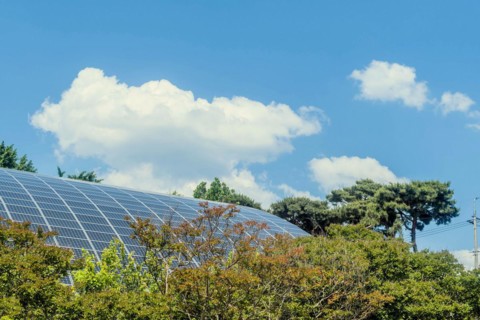 Solar panels peeking above autumn-colored treetops against a backdrop of blue sky and white clouds,