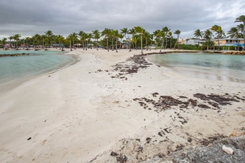 Caribbean dream beach with palm trees, white sandy beach and turquoise-coloured, crystal-clear