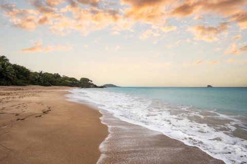 Lonely, wide sandy beach with turquoise-coloured sea. Tropical plants in a bay at sunset in the