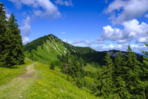 Am Stuempfling, Spitzingsee area, Bavarian local mountains, Alps, Upper Bavaria, Bavaria, Germany,