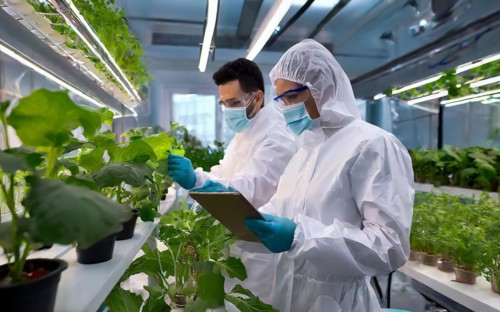 Biologists in protective suits grow vegetables in the lab, the concept of biotechnology, plant care