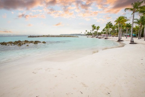 Caribbean dream beach with palm trees, white sandy beach and turquoise-coloured, crystal-clear