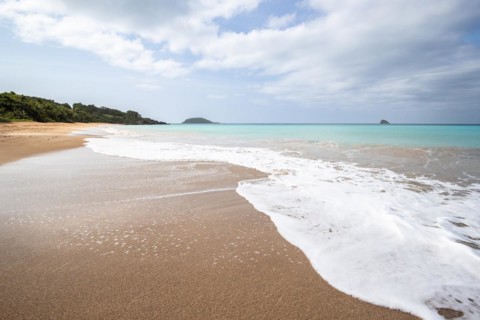 Lonely, wide sandy beach with turquoise-coloured sea. Tropical plants in a bay in the Caribbean