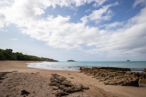Lonely, wide sandy beach with turquoise-coloured sea. Tropical plants in a bay in the Caribbean