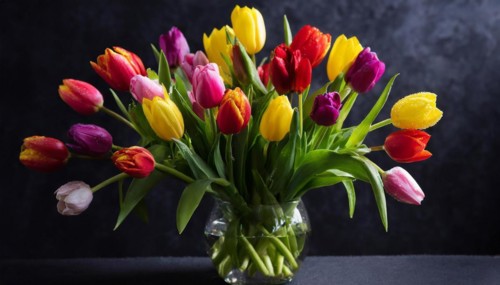 A large bouquet of colourful tulips, spring, AI generated, AI generated