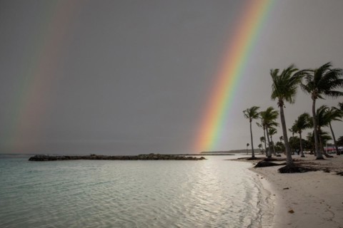 Caribbean dream beach with palm trees, white sandy beach and turquoise-coloured, crystal-clear