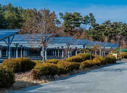 Large array of solar panels providing shade in a parking area with trees and blue sky, in South