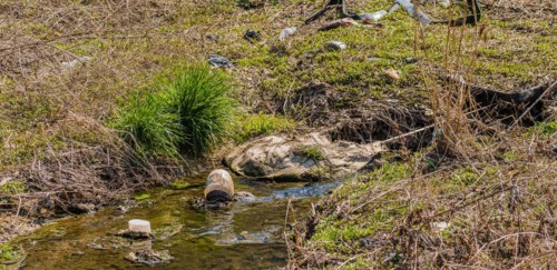 Grass tuft by a small stream littered with trash highlighting pollution, in South Korea