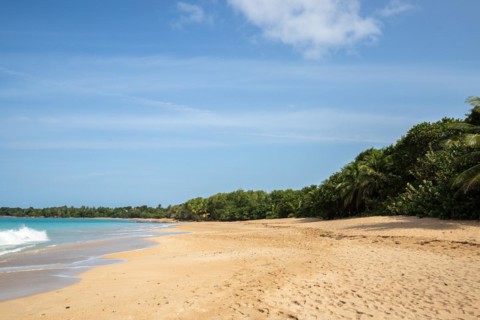 Lonely, wide sandy beach with turquoise-coloured sea. Tropical plants in a bay in the Caribbean