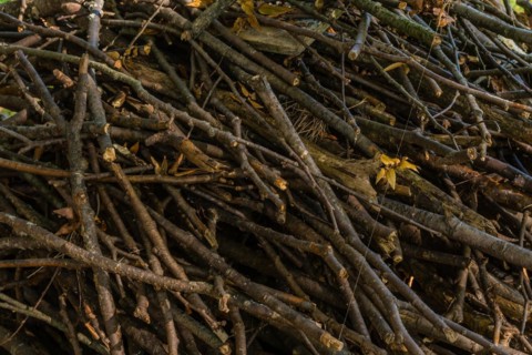 Closeup of broken branches and sticks haphazardly stacked up and held together with fishing line in