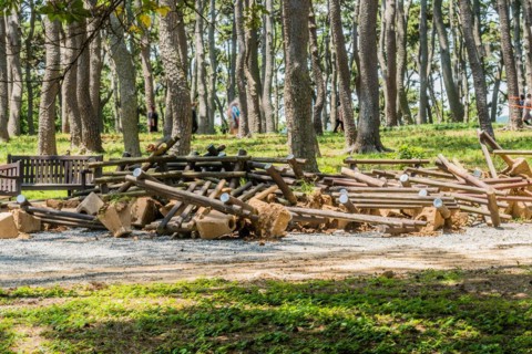 A pile of dismantled wooden logs and debris in a forest setting, in Ulsan, South Korea, Asia
