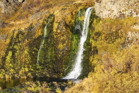Small foaming waterfalls cascading from a rock face, in the evening light, Sudurland, Iceland,