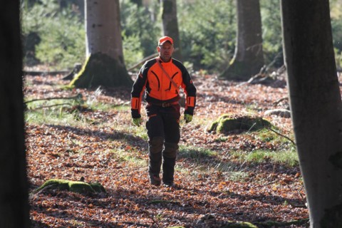 Wild boar (Sus scrofa) Hunting assistant, so-called driver, in safety clothing, Allgaeu, Bavaria,