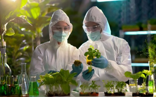 Biologists in protective suits grow vegetables in the lab, the concept of biotechnology, plant care