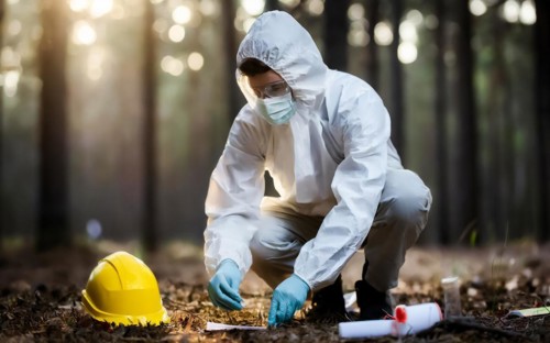 Securing evidence at a crime scene in the forest, KTU, forensic investigation by the criminal