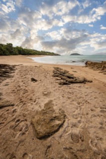 Lonely, wide sandy beach with turquoise-coloured sea. Tropical plants in a bay in the Caribbean