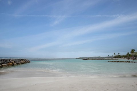 Caribbean dream beach with palm trees, white sandy beach and turquoise-coloured, crystal-clear