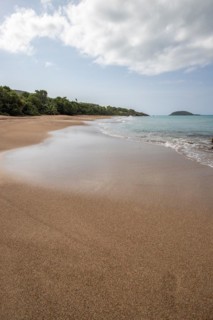 Lonely, wide sandy beach with turquoise-coloured sea. Tropical plants in a bay in the Caribbean