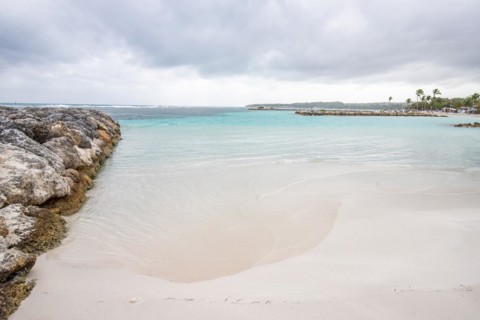 Caribbean dream beach with palm trees, white sandy beach and turquoise-coloured, crystal-clear
