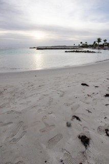Caribbean dream beach with palm trees, white sandy beach and turquoise-coloured, crystal-clear