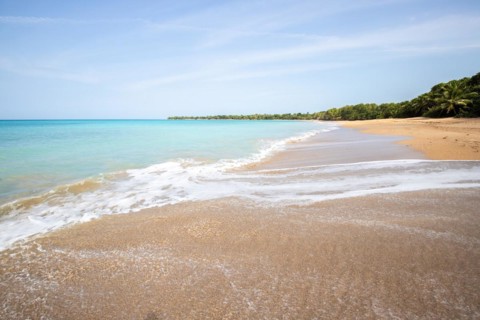 Lonely, wide sandy beach with turquoise-coloured sea. Tropical plants in a bay in the Caribbean