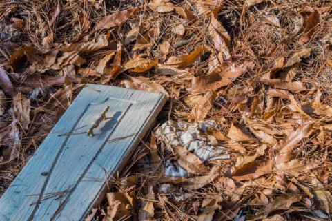 An old raglies beside a wooden plank surrounded by dry autumn leaves, in South Korea