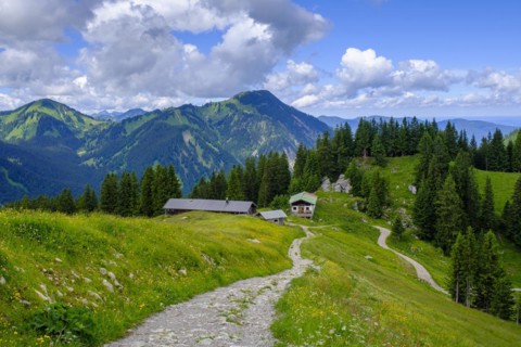 Stuempflingalmen on the way to Rosskopf, Rosskopf, Spitzingsee area, Bavarian local mountains,