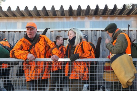 Wild boar (Sus scrofa) start of hunt, hunter and huntress in high-visibility waistcoats on trailer,
