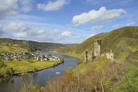 View of the ruins of Metternich Castle near Beilstein and the wine village of Ellenz-Poltersdorf,