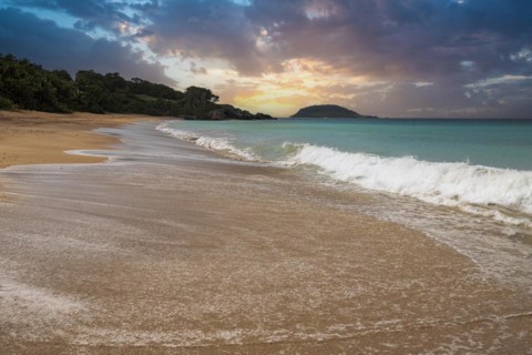 Lonely, wide sandy beach with turquoise-coloured sea. Tropical plants in a bay at sunset in the