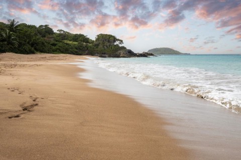 Lonely, wide sandy beach with turquoise-coloured sea. Tropical plants in a bay at sunset in the