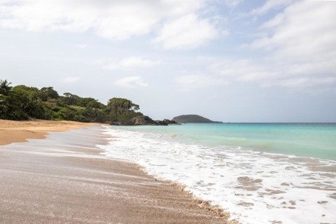 Lonely, wide sandy beach with turquoise-coloured sea. Tropical plants in a bay in the Caribbean