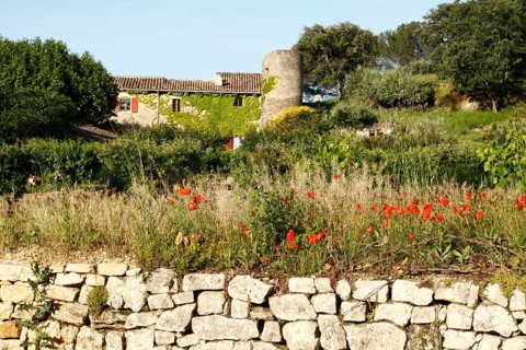 Lourmarin, Parc Naturel Regional du Luberon, Vaucluse, Provence, France, Europe