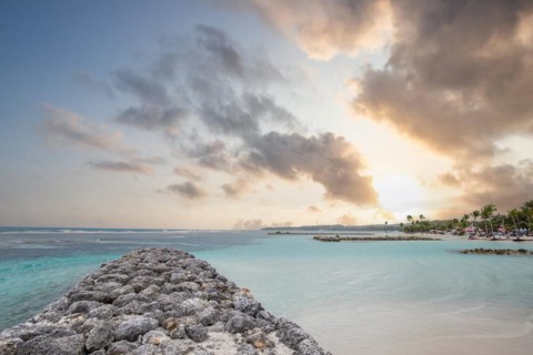 Caribbean dream beach with palm trees, white sandy beach and turquoise-coloured, crystal-clear