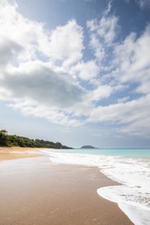 Lonely, wide sandy beach with turquoise-coloured sea. Tropical plants in a bay in the Caribbean