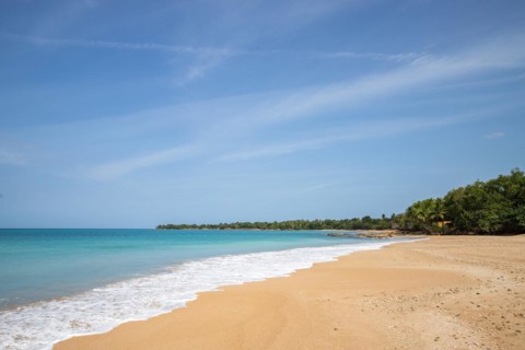 Lonely, wide sandy beach with turquoise-coloured sea. Tropical plants in a bay in the Caribbean