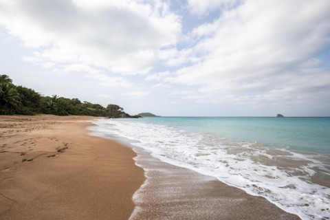 Lonely, wide sandy beach with turquoise-coloured sea. Tropical plants in a bay in the Caribbean