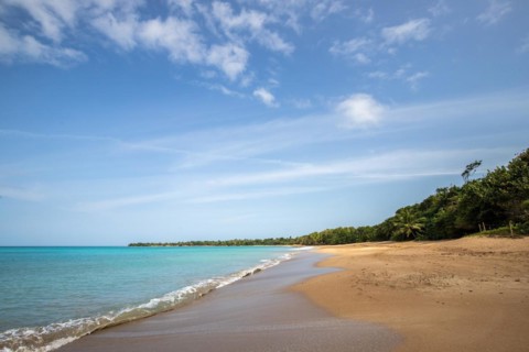 Lonely, wide sandy beach with turquoise-coloured sea. Tropical plants in a bay in the Caribbean