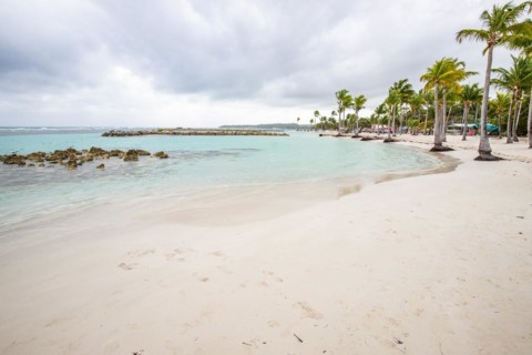 Caribbean dream beach with palm trees, white sandy beach and turquoise-coloured, crystal-clear