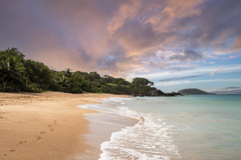 Lonely, wide sandy beach with turquoise-coloured sea. Tropical plants in a bay at sunset in the