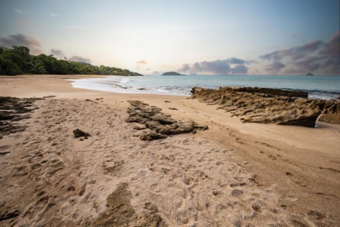 Lonely, wide sandy beach with turquoise-coloured sea. Tropical plants in a bay at sunset in the