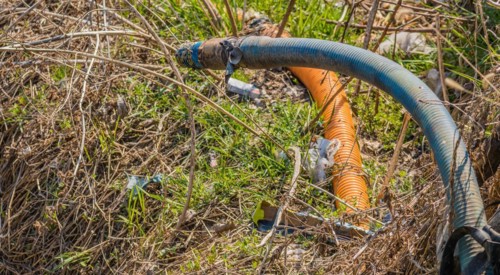 A discarded orange and blue hose lying amongst leaves and debris, in South Korea