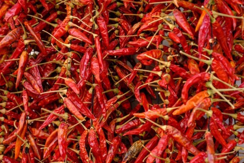 Chilli, dried peppers, pimentos, Palma de Majorca, Majorca, Balearic Islands, Spain, Europe